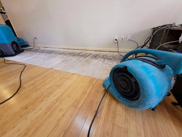 Reliable Basement Flood Cleanup contractor in Tyngsboro, MA by Hirex Water Damage