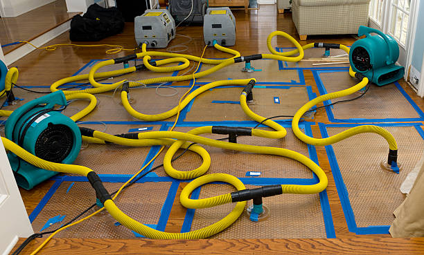 Professional Basement Flood Cleanup technician working in Tyngsboro, MA